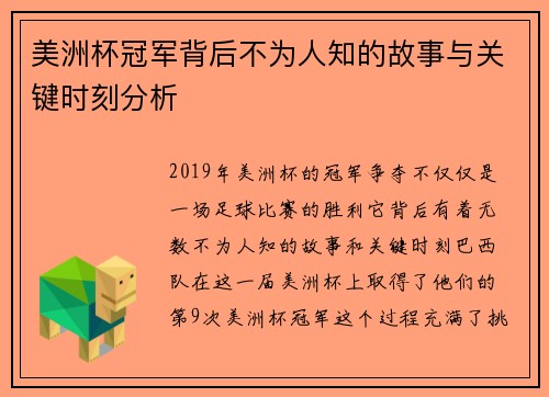 美洲杯冠军背后不为人知的故事与关键时刻分析