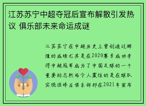 江苏苏宁中超夺冠后宣布解散引发热议 俱乐部未来命运成谜 江苏苏宁中超夺冠后宣布解散引发热议 俱乐部未来命运成谜